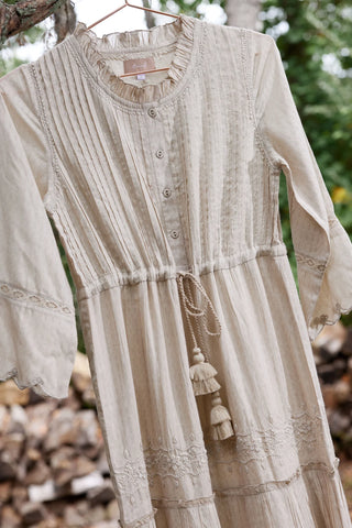 Ahalya Maxi Dress